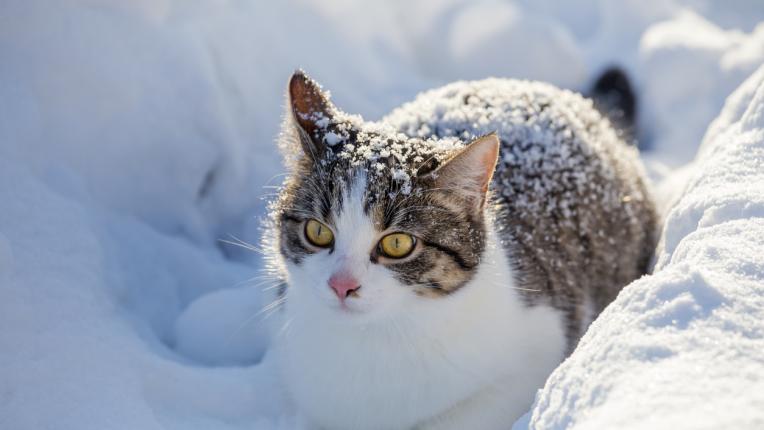  Дневен хороскоп за петък, 12 януари 