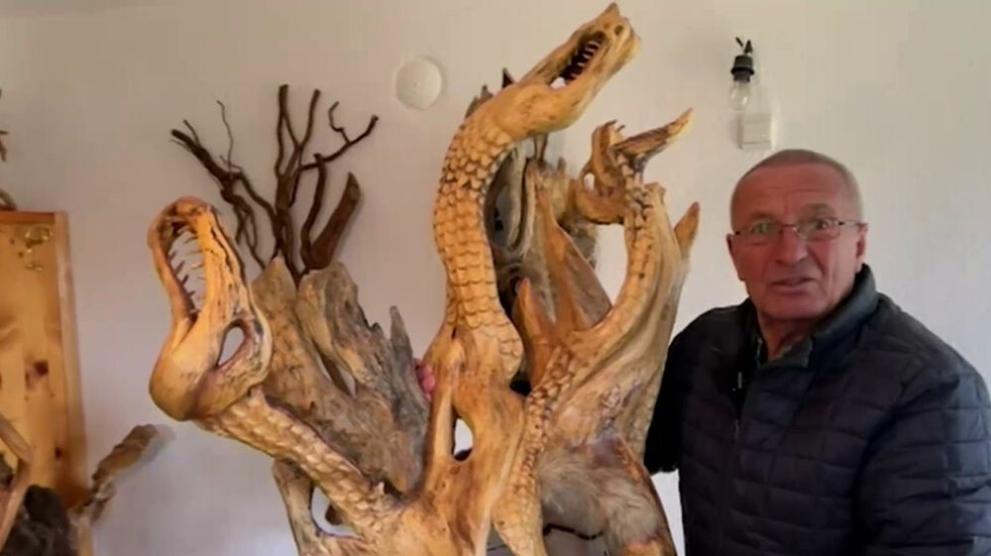 За повечето от нас дърветата в гората са просто част