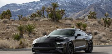 <p>Carroll Shelby Centennial Edition Mustang</p>