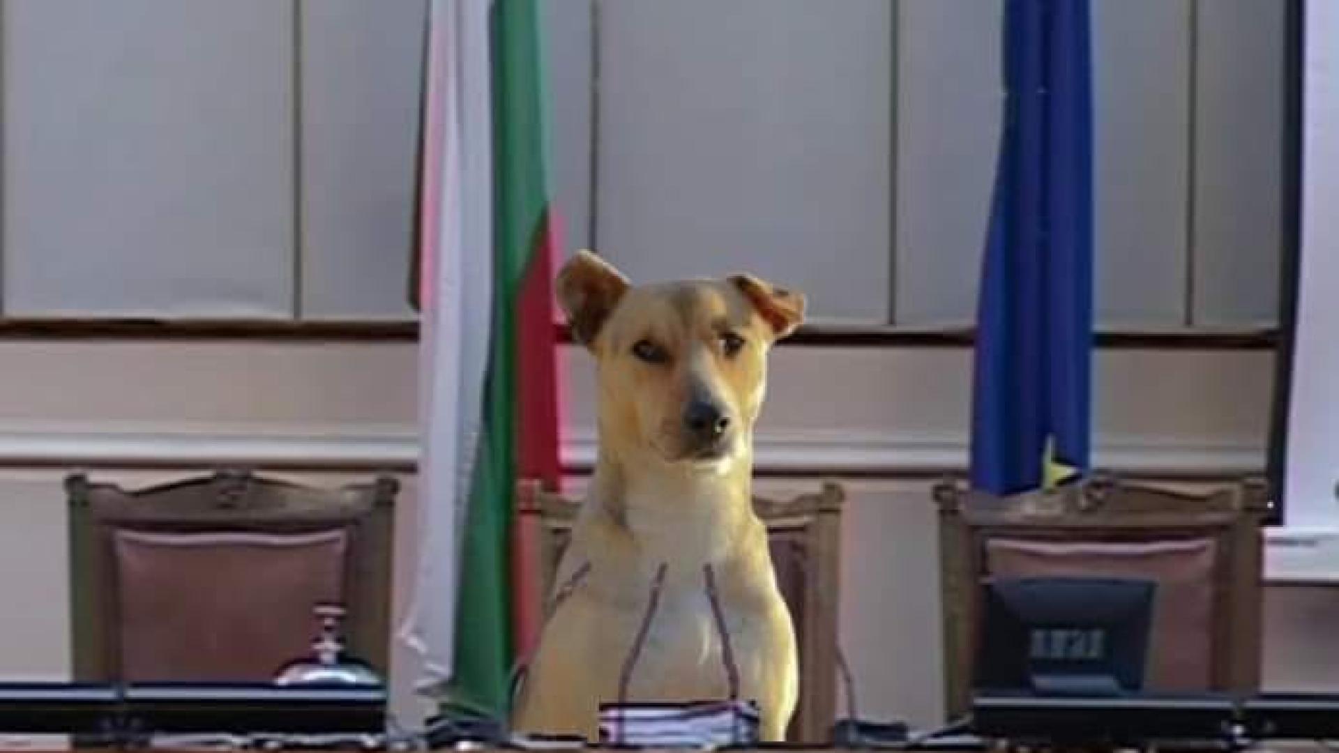 1920-1080-kuche-parlament.jpg