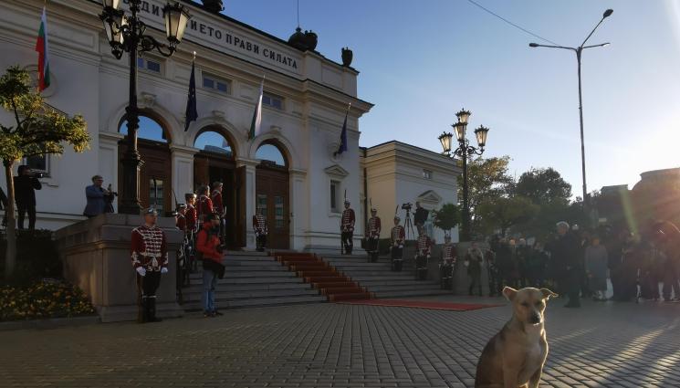 Куче парламент