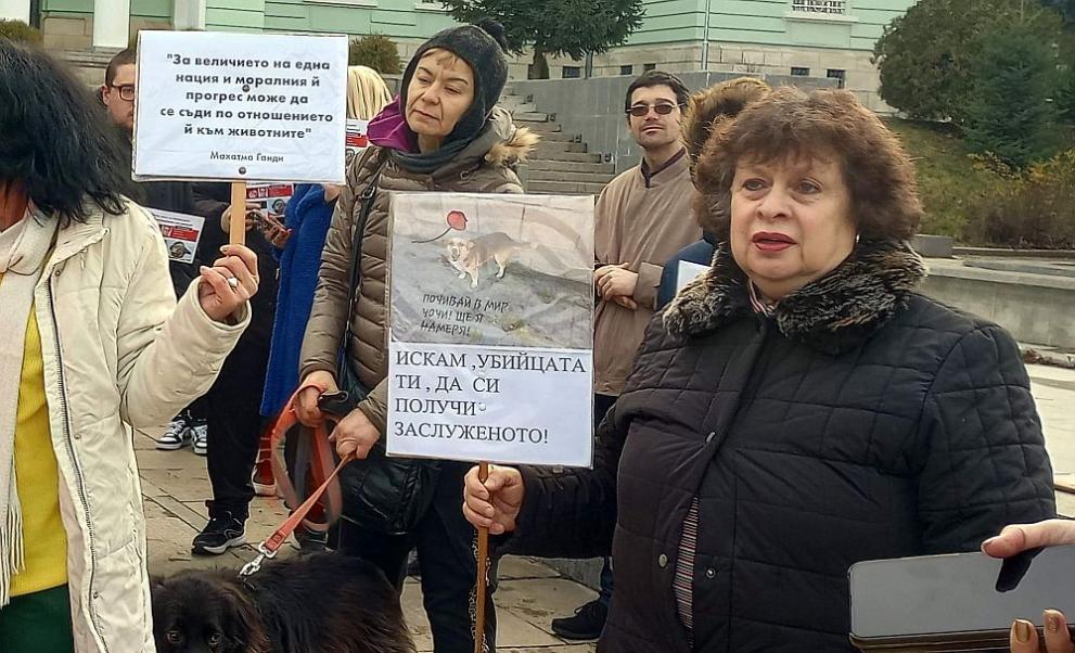Протест в Шумен срещу насилието на животни (СНИМКИ)