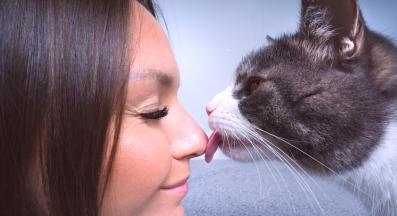 котка ближе