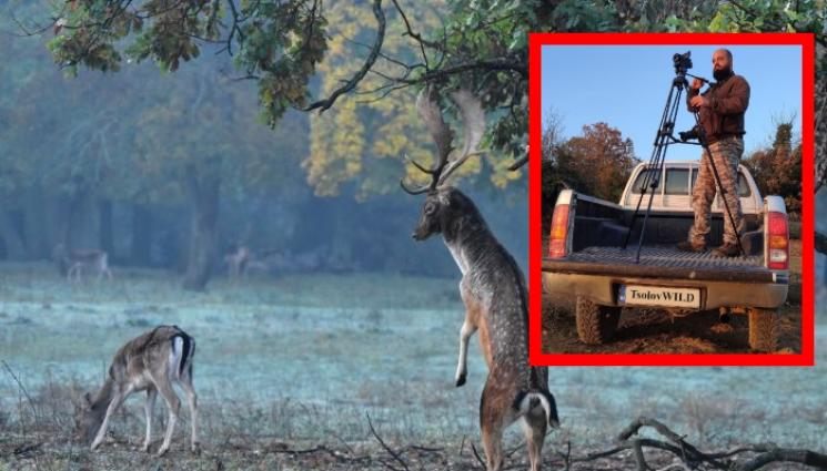 Цолов - Инженер сe вмъква на еленски сватби