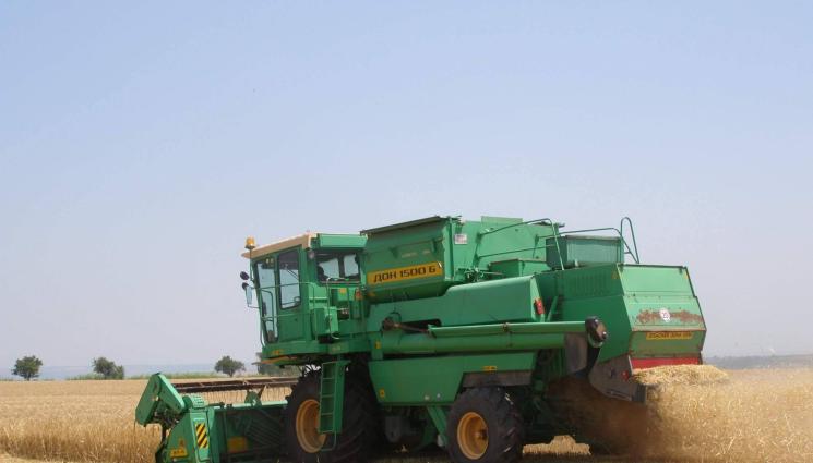 пшеница - Агро Телеграф: Според организацията за земеделие и прехрана към ООН: Храните по света поевтиняват, в България – не