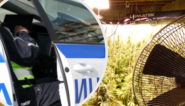 наркооранжерия - ПОРЕДЕН УДАР: Спипаха баща и син с модерна наркооранжерия (СНИМКИ)