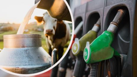 бензин мляко