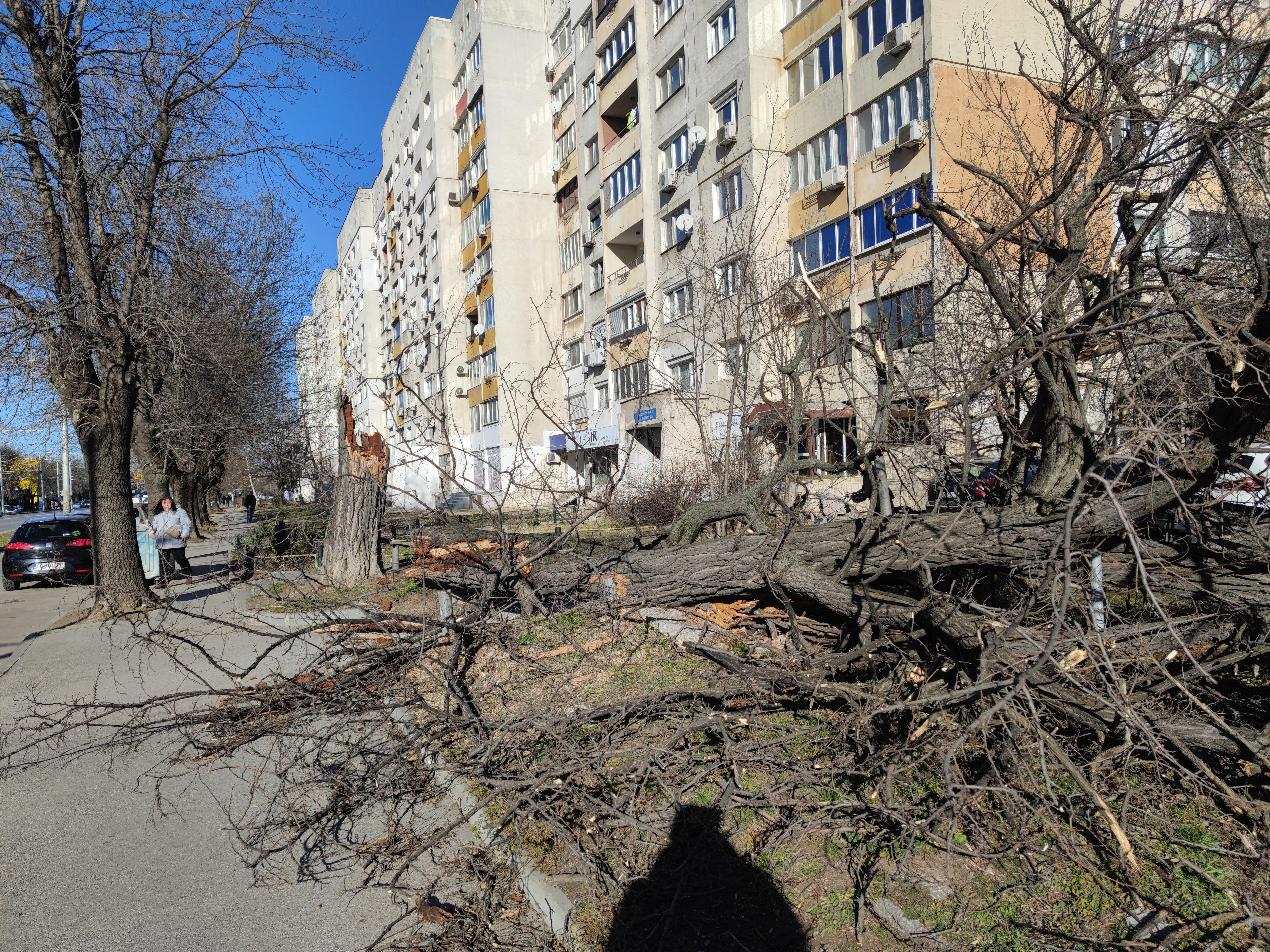 фасада училище