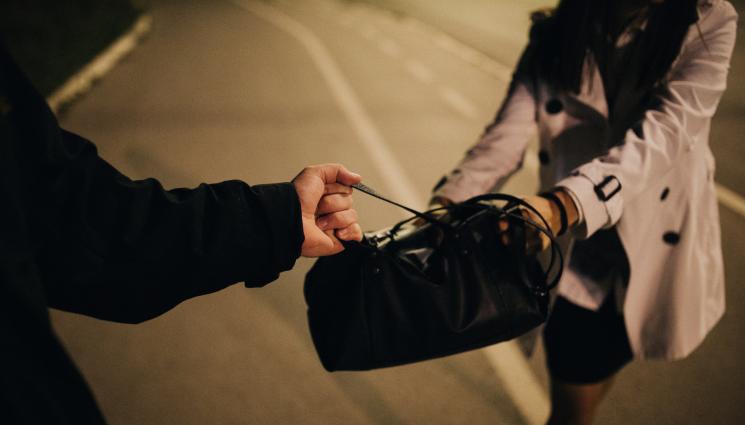 крадец дамска чанта