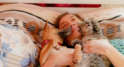 куче и котка