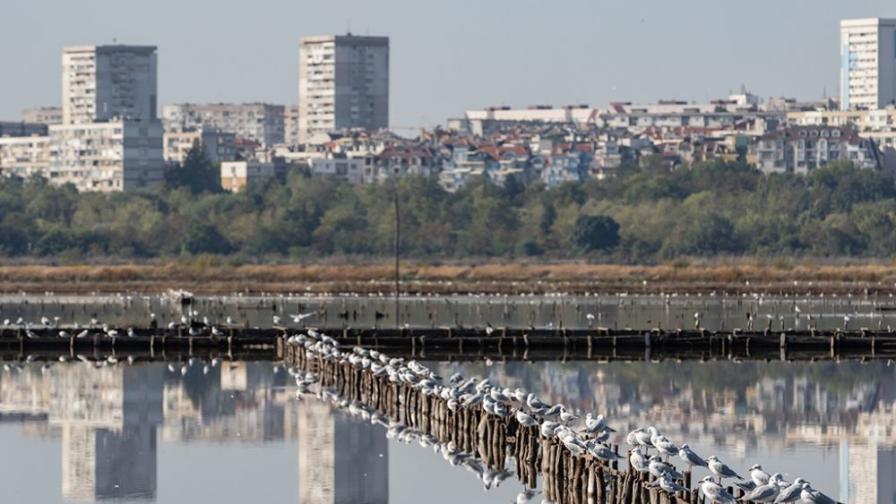 Атанасовското езеро отбеляза имен  ден с популярния в Европа и по света birdwatching