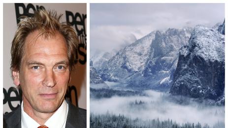 Джулиан Сандс