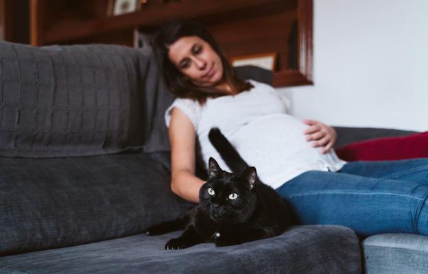 бременна собственичка и котка