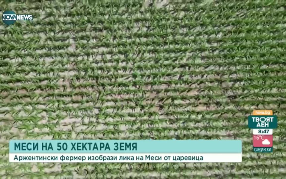 Фермер успя да изобрази лика на Лионел Меси с царевица.