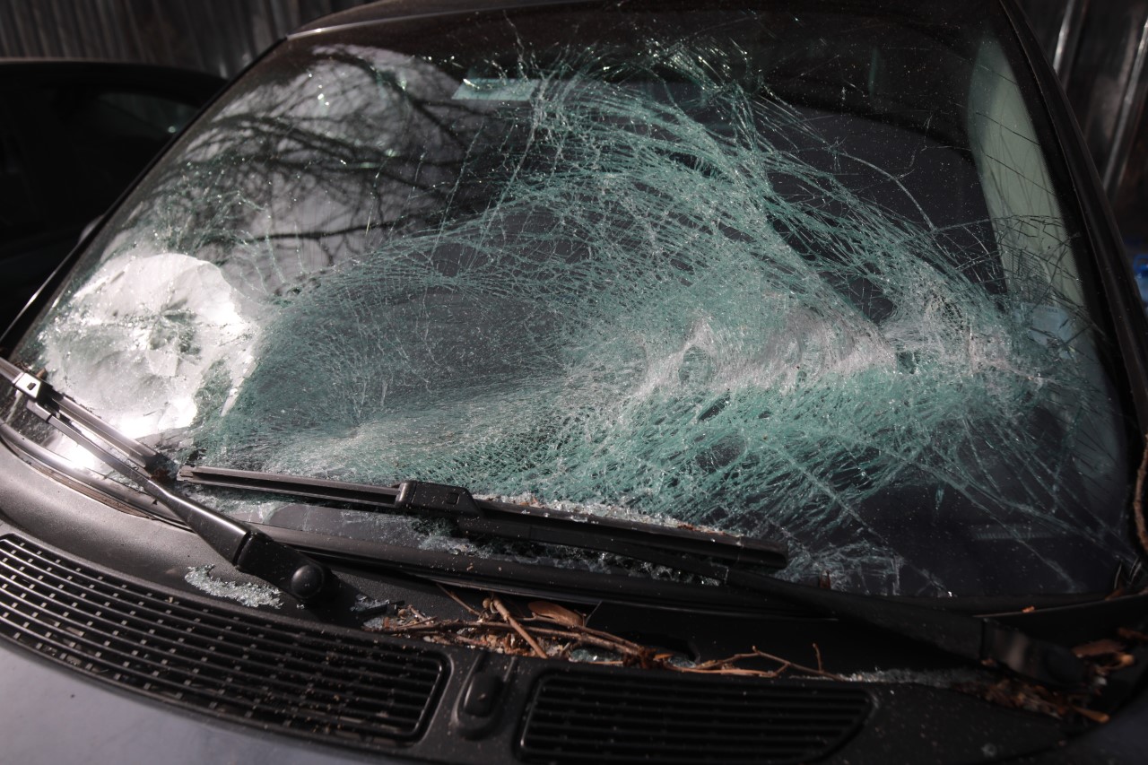 <p>Паднало дърво нанесе щети на паркирани автомобили на ул. Люботрън, в близост до 21 СУ &quot;Христо Ботев&quot; в София.</p>