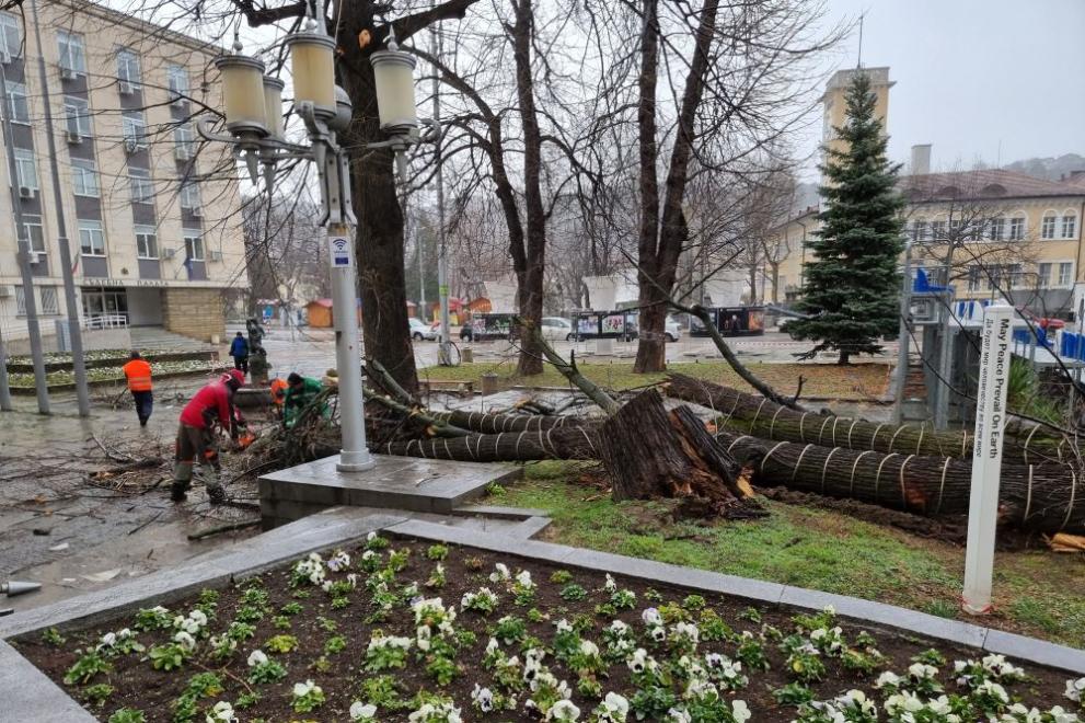 Вятър с пориви над 80 километра в час връхлетя Габрово