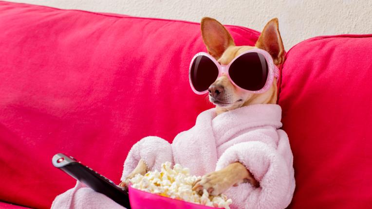  Дневен хороскоп за неделя, 22 януари 