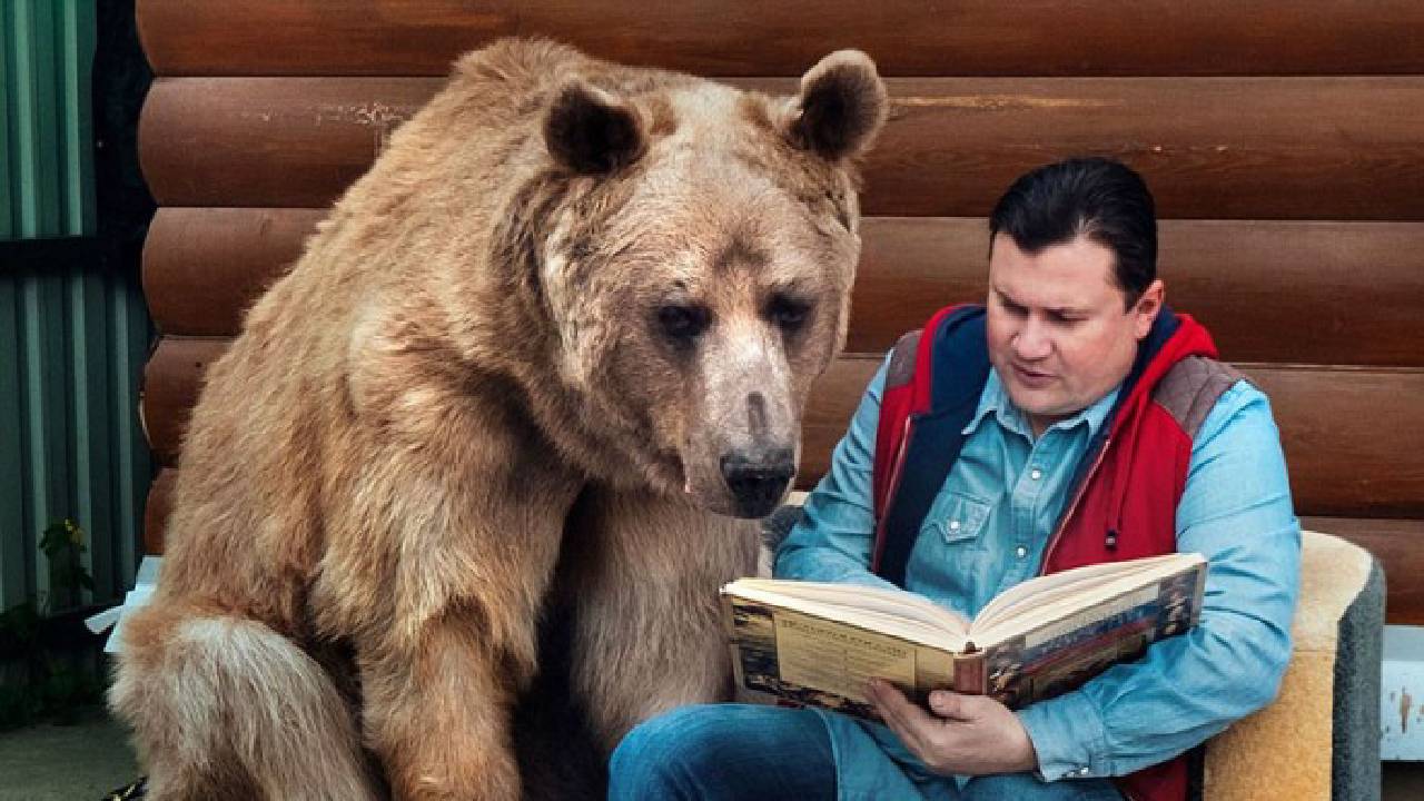 мече