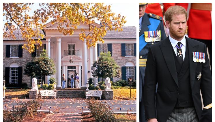 принц Хари Грейсенд - ВЕЧЕ И В САЩ ГО МРАЗЯТ: Принц Хари сравни имението на Елвис Пресли с хралупа на язовец