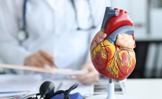 Лекари предупреждават: Висок риск от сърдечни болести и смърт 18 месеца след прекаран COVID-19