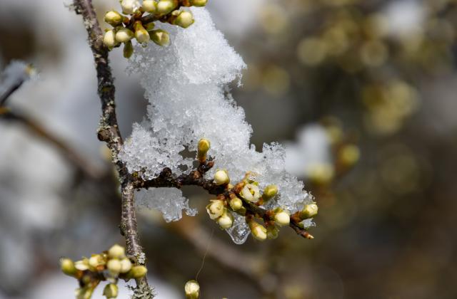Между 600 и 800 лв.на декар са загубите на зeмeделските