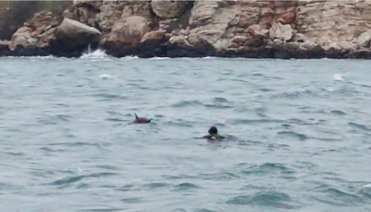 водна мина - Изплува мина от морето!