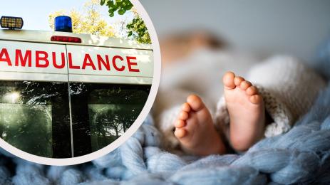 бебе линейка