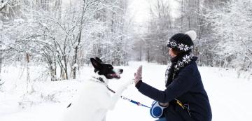 3 начина да поглезите кучето си тази зима