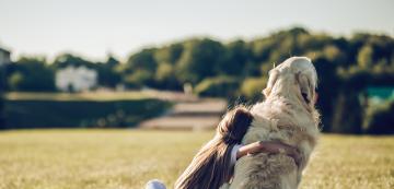 10 неща, за които да помислите, преди да си вземете голямо куче