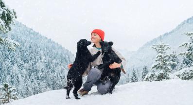 куче разходка зима