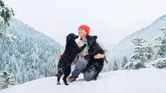 Съвети за безопасни снежни игри с кучето ви