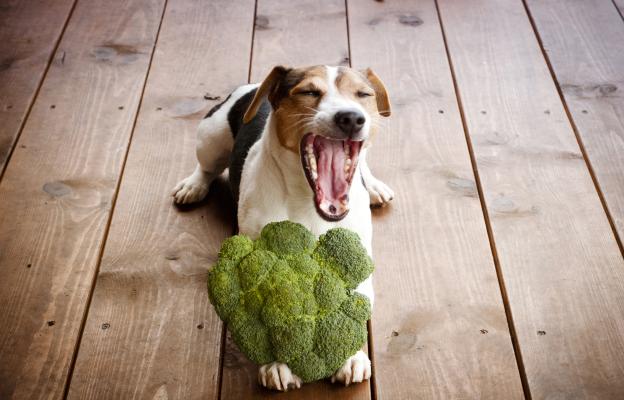 куче броколи