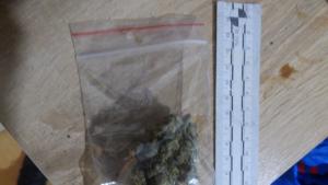 Иззеха марихуана след проверки в Плевен съобщиха от полицията МВР