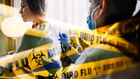 птичи грип хора