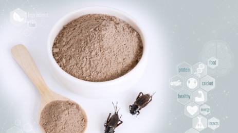 брашно от щурци