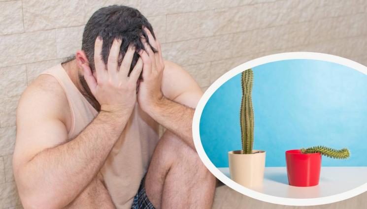 либидо потентност - ВНИМАНИЕ, МЪЖЕ! Ето какво сваля самолета