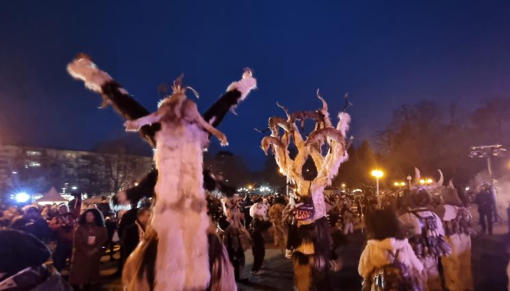 сурва - СЛЕД 3-ГОДИШНО ПРЕКЪСВАНЕ: