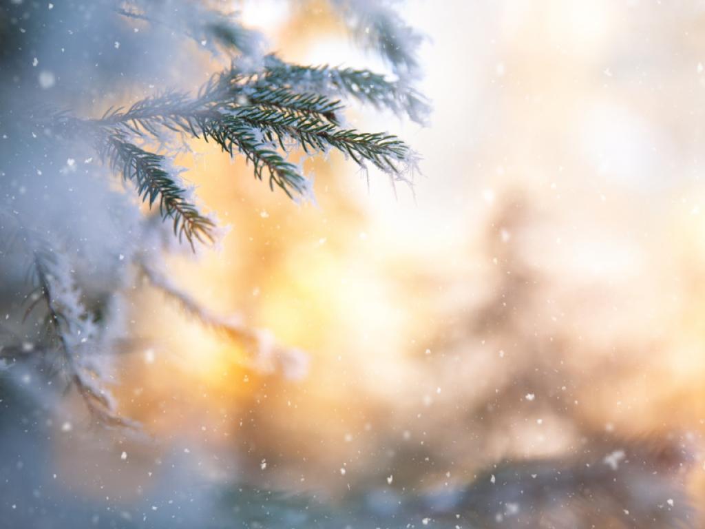 Астрономическата зима ще започне на 22 декември в 05:27 ч.,