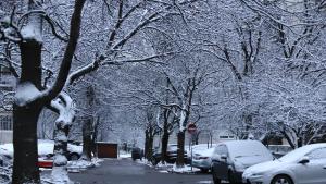 Заради валежите от сняг в София са извършени обработки със