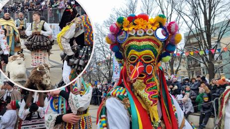 Сурва Перник