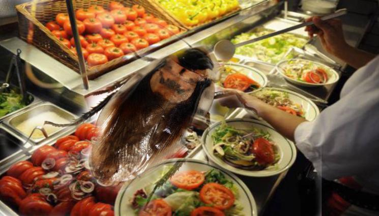 хлебарки - МАГАЗИНИ С ЕКСТРИ: Хлебарки дефилират по витрините!