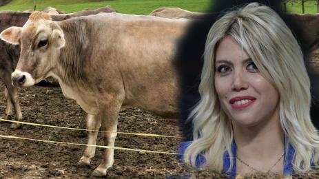 крава Уанда Нара Симона