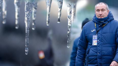 Стоилов студ