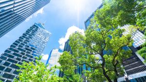 Засаждането на повече дървета в градските райони с цел понижаване