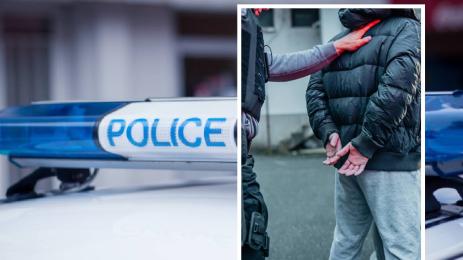 Полиция арест