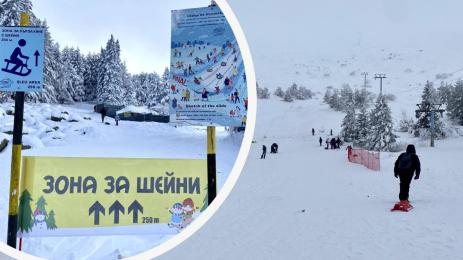 Зона за шейни Витоша