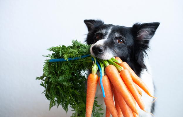 куче моркови