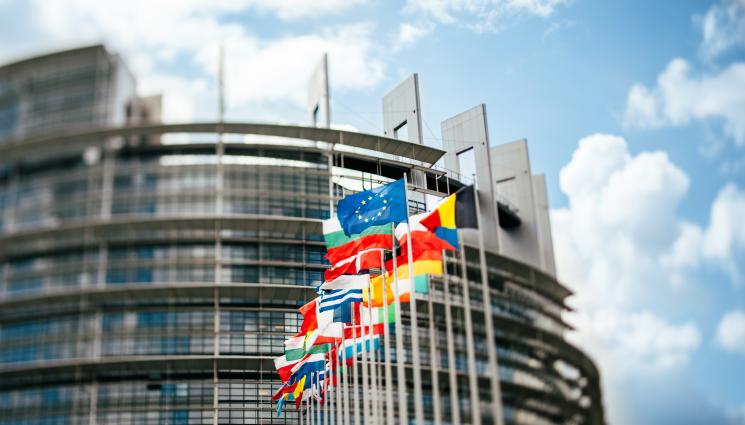 европарламент - ЩУРИ КАНДИДАТИ ОТ ЦЯЛА ЕВРОПА: Инфлуенсър, парашутист и състезател отиват в ЕП!