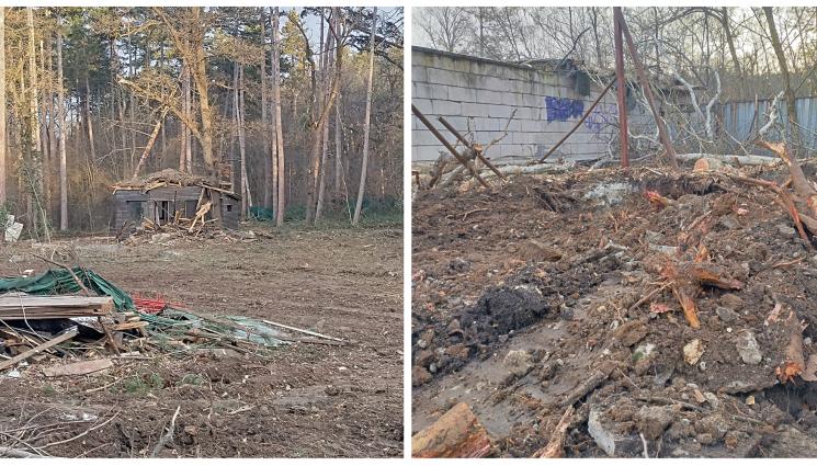 дървета къпалня - НЕ СЕ СПРЯХА: Пак сякоха дървета в Борисовата градина, Фандъкова прати униформени