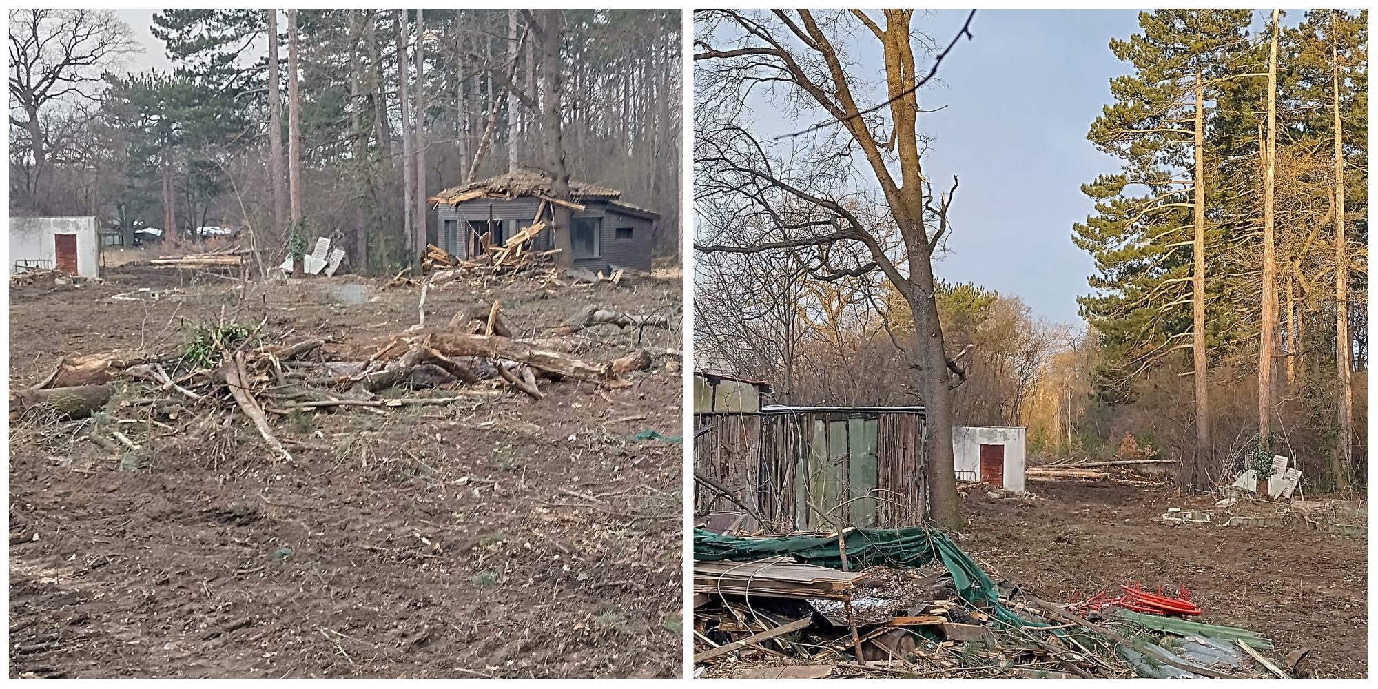 дървета къпалня